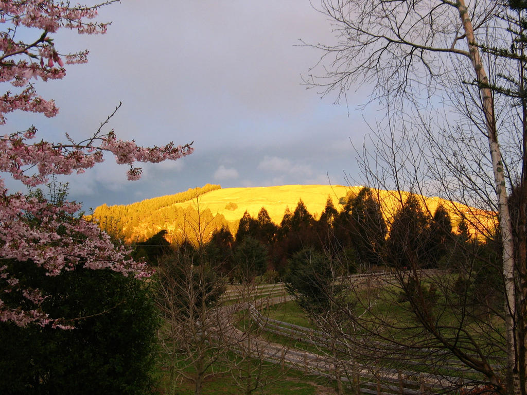 Whakaipo Lodge Taupo Exteriér fotografie