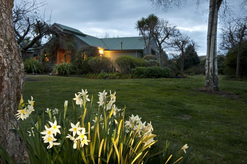 Whakaipo Lodge Taupo Exteriér fotografie